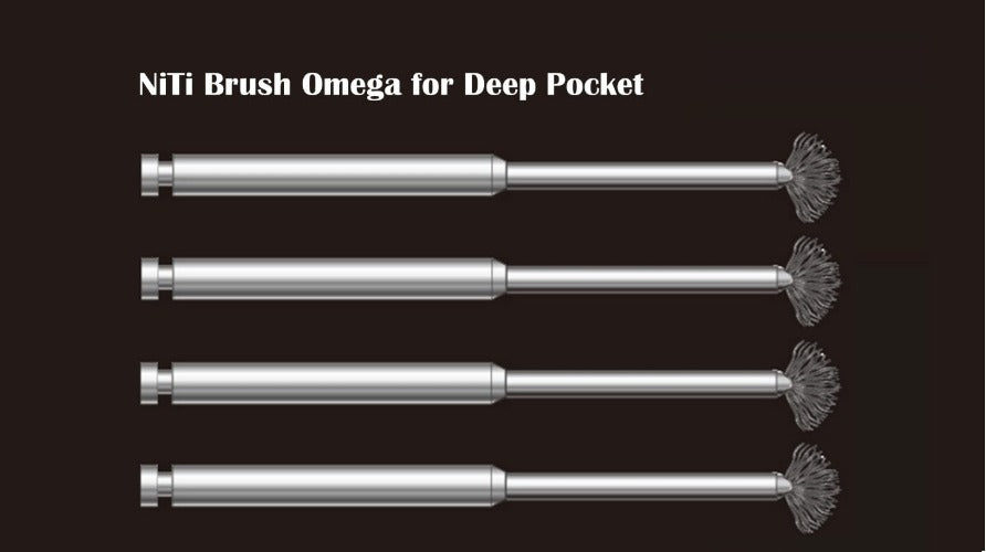 004_NiTi Brush Omega for deep pocket (4ea/Box)