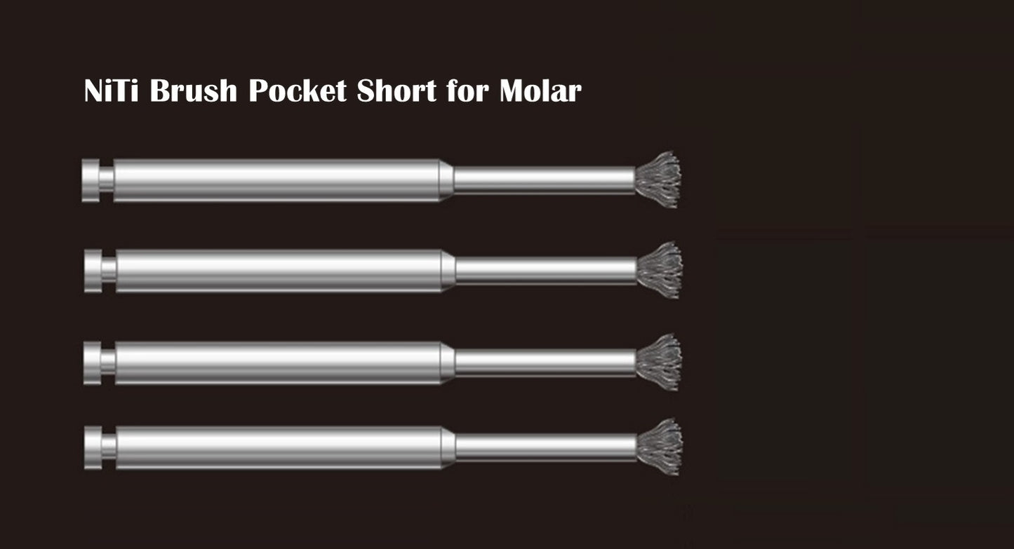 008_NiTi Brush Pocket short for molar